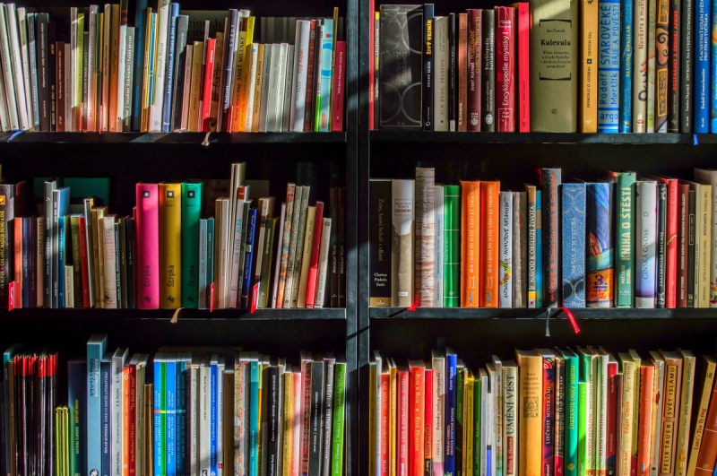 vente-LA ROQUE ESCLAPON-min_books_bookstore_book_reading_shop_writer_sale_books_read-822866